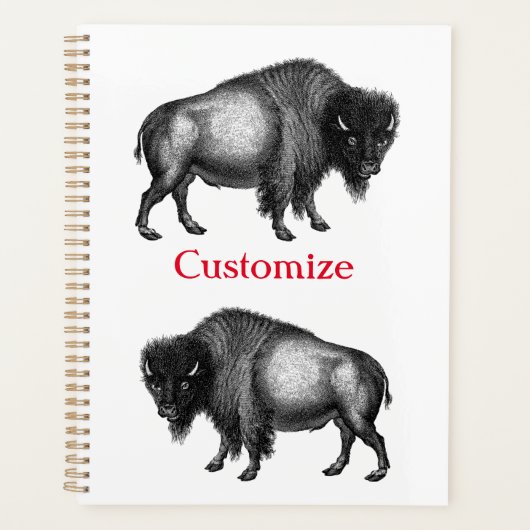 Big Bison Buffalo Thunder_Cove Planer (Vorderseite)