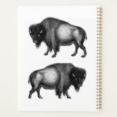 Big Bison Buffalo Thunder_Cove Planer (Rückseite)