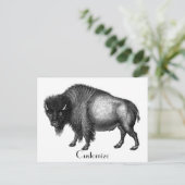Big Bison Buffalo Thunder_Cove Postkarte (Stehend Vorderseite)