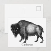 Big Bison Buffalo Thunder_Cove Postkarte (Vorne/Hinten)
