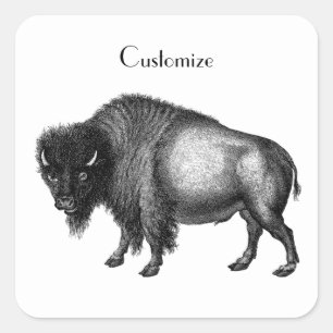 Big Bison Buffalo Thunder_Cove   Quadratischer Aufkleber