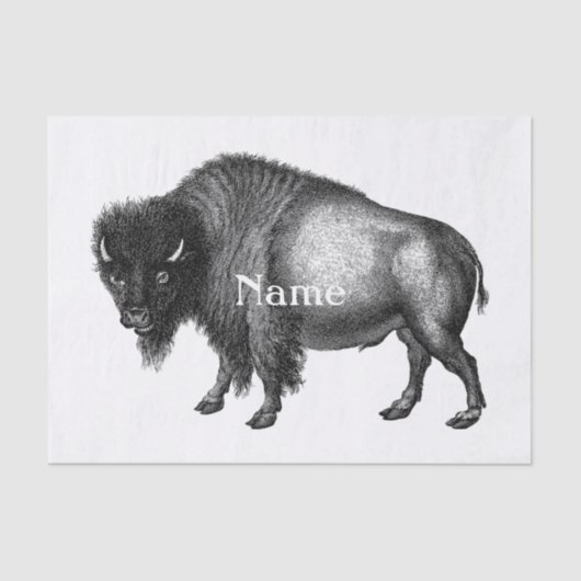 Big Bison Buffalo Thunder_Cove Seidenpapier (Vorderseite)