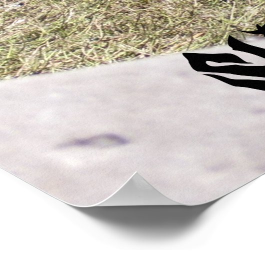 Big Black Alligator Poster (Ecke)