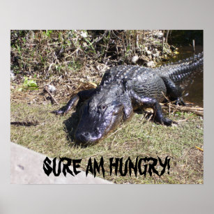 Big Black Alligator Poster
