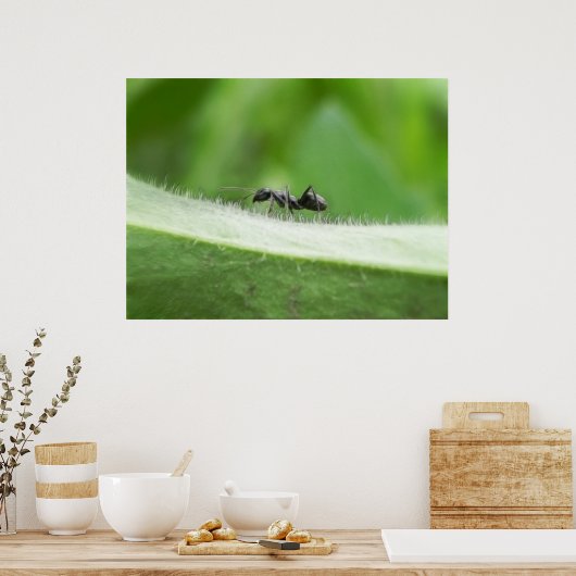 Big Black Ant Poster (Küche)