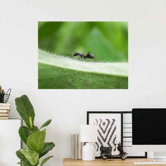 Big Black Ant Poster (Heimbüro)