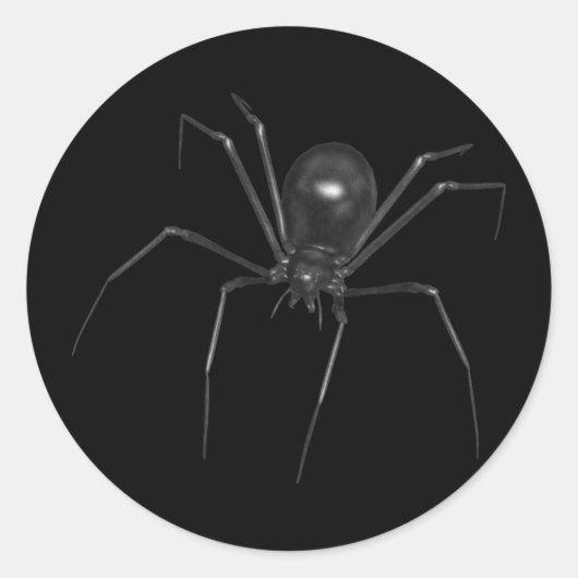 Big Black Creepy 3D Spider Runder Aufkleber (Vorderseite)