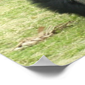 Big Black Gorilla Poster (Ecke)