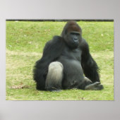 Big Black Gorilla Poster (Vorne)