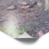 Big Black Jaguar Cat auf Rock Fotodruck (Ecke)