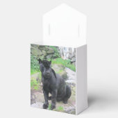 Big Black Jaguar Cat auf Rock Geschenkschachtel (Geöffnet)