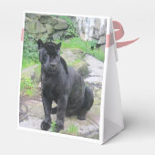 Big Black Jaguar Cat auf Rock Geschenkschachtel (Rückseite)