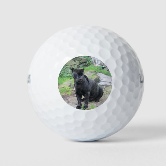 Big Black Jaguar Cat auf Rock Golfball (Vorderseite)