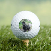 Big Black Jaguar Cat auf Rock Golfball (Insitu T-Shirt)