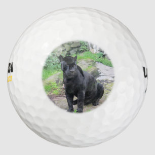 Big Black Jaguar Cat auf Rock Golfball