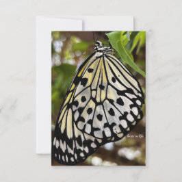 Big Black & White Butterfly Mitteilungskarte