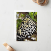 Big Black & White Butterfly Mitteilungskarte (Vorderseite/Rückseite Beispiel)