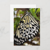 Big Black & White Butterfly Mitteilungskarte (Vorne/Hinten)
