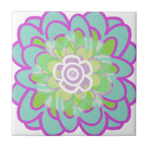 Big Blaming sukkulent