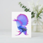 Big Blue Betta Fish Postkarte (Stehend Vorderseite)