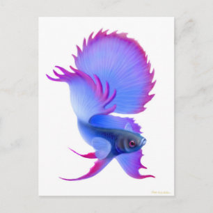Big Blue Betta Fish Postkarte