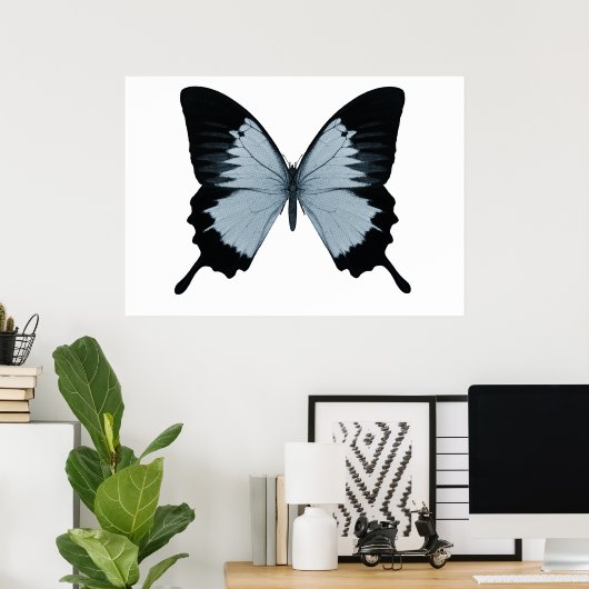 Big Blue & Black Butterfly Poster (Heimbüro)