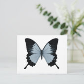 Big Blue & Black Butterfly Postkarte (Stehend Vorderseite)