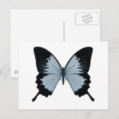 Big Blue & Black Butterfly Postkarte (Vorne/Hinten)