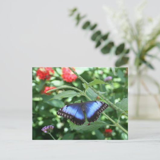 Big Blue Butterfly 2 Postkarte (Stehend Vorderseite)