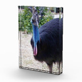 Big Blue Cassowary Bird, Fotoblock (Rechts)