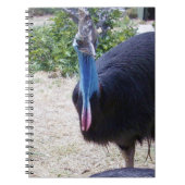 Big Blue Cassowary Bird, Notizblock (Vorderseite)