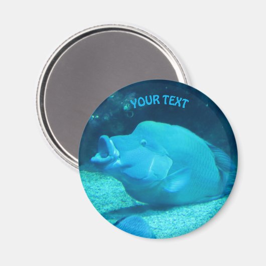 Big Blue Fish Magnet (Vorderseite/Rückseite)