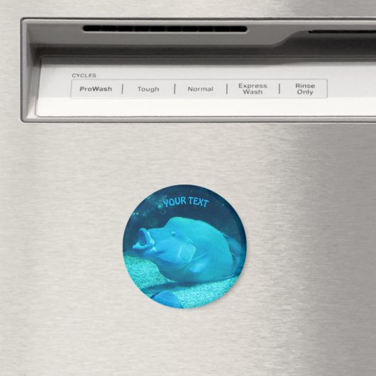 Big Blue Fish Magnet (In Situ (Geschirrspüler))