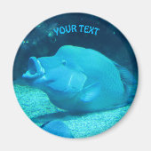 Big Blue Fish Magnet (Vorne)