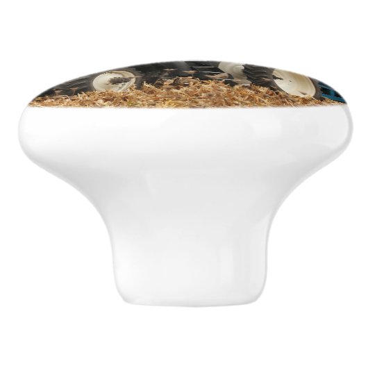 Big Blue  Keramikknauf (Seitenansicht)