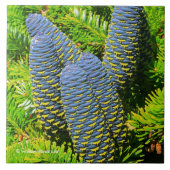 Big Blue Korean Fir Cones Fliese (Vorderseite)