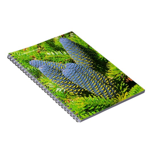 Big Blue Korean Fir Cones Notizblock (Rechte Seite)