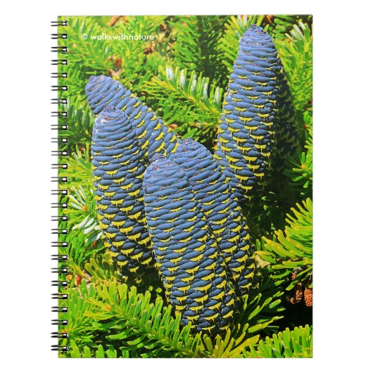Big Blue Korean Fir Cones Notizblock (Vorderseite)