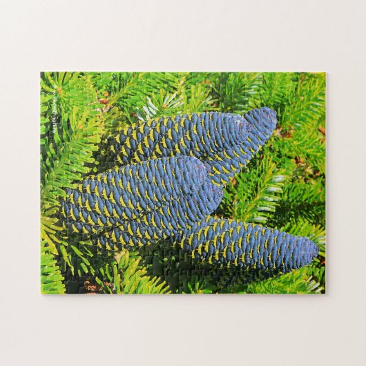Big Blue Korean Fir Cones Puzzle (Horizontal)