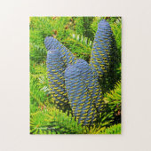Big Blue Korean Fir Cones Puzzle (Vertikal)