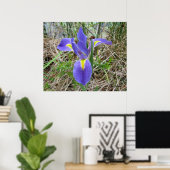 Big Blue Louisiana Iris Poster (Heimbüro)