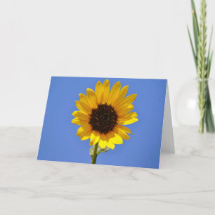 Big Blue Sky und Wild Sunflower Note Card Karte