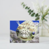 Big Blues Postkarte (Stehend Vorderseite)