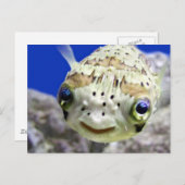 Big Blues Postkarte (Vorne/Hinten)