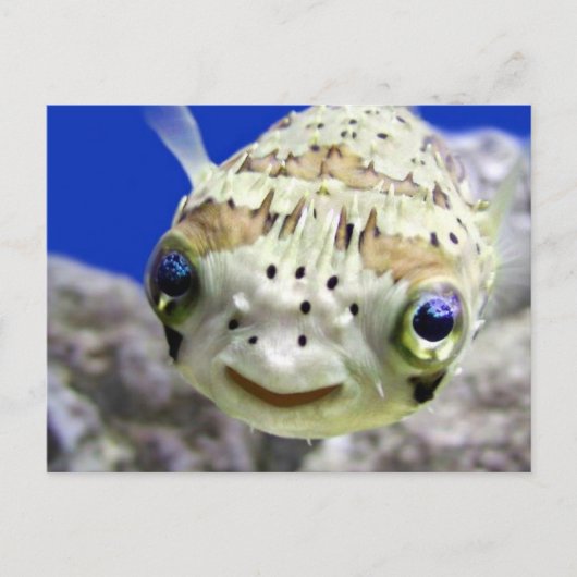 Big Blues Postkarte (Vorderseite)