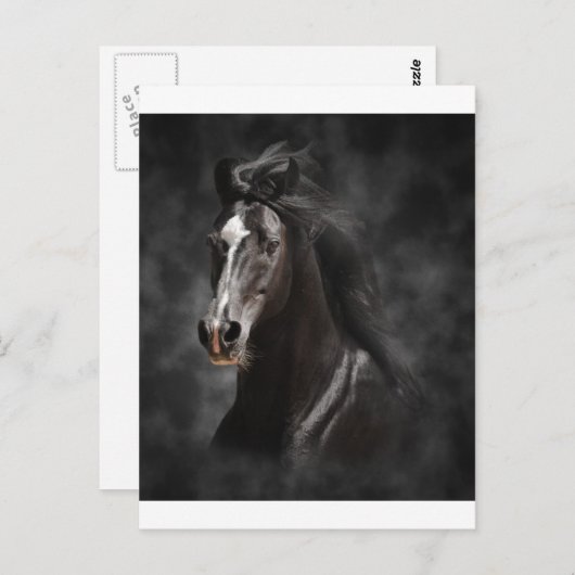 Big, Bold, and Proud Postkarte (Vorne/Hinten)