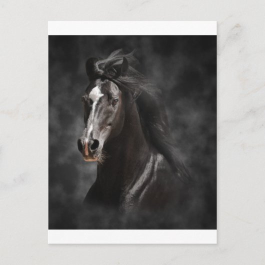 Big, Bold, and Proud Postkarte (Vorderseite)