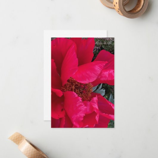 Big Bold Red Peony Mitteilungskarte (Vorderseite/Rückseite Beispiel)