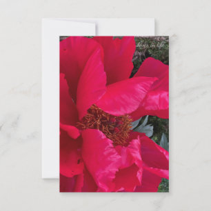 Big Bold Red Peony Mitteilungskarte