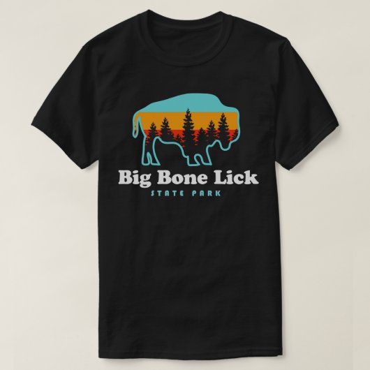 Big Bone Lick Staat Park Kentucky Bison Fossils T-Shirt (Design vorne)